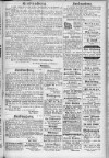 5. egerer-zeitung-1884-11-29-n96_3375